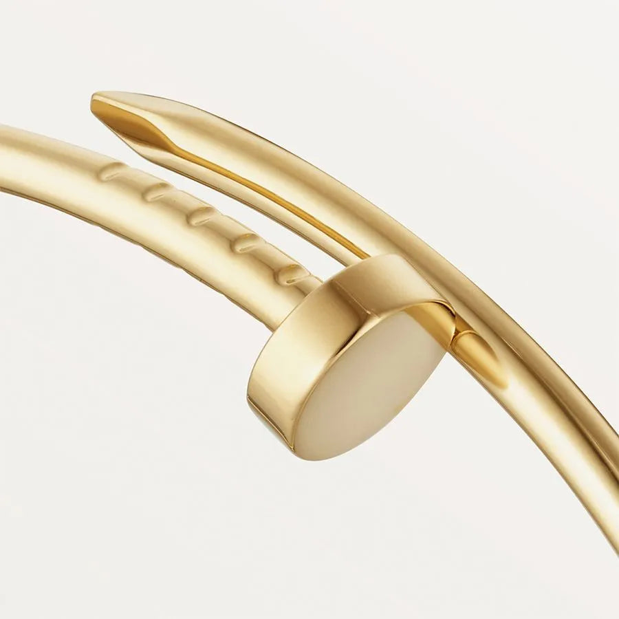 Bracelet Juste un Clou CR